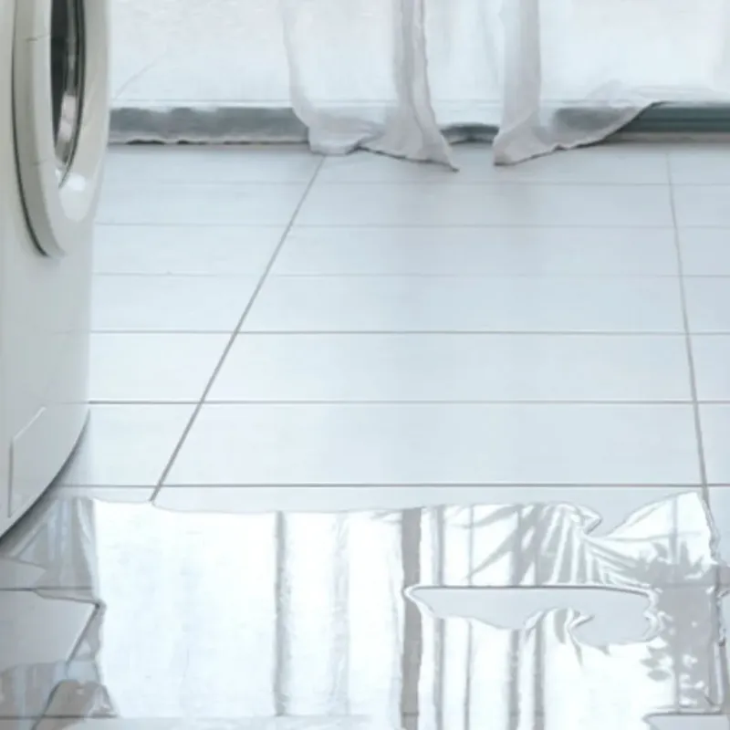 Appliance Leak Cleanup in Wakulla County, FL